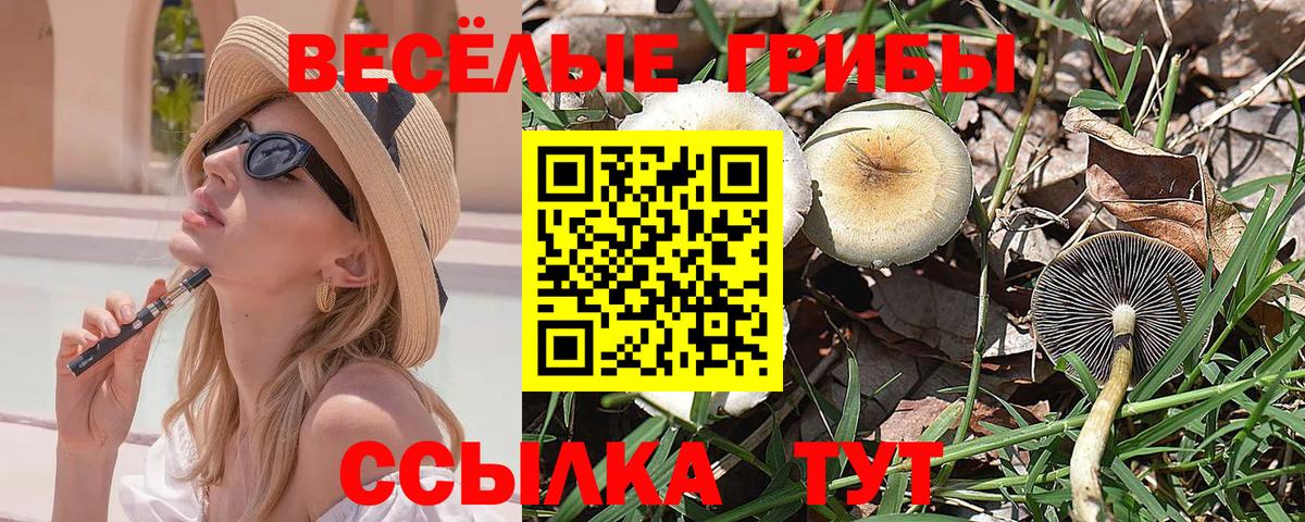 Урюпинск  Псилоцибиновые грибы Psilocybine cubensis  Псилоцибиновые грибы прущие грибы  Вход с VPN 